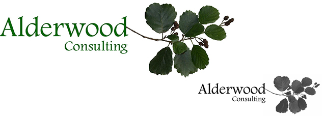 Alderwood Consulting Logo case study illustration 4
