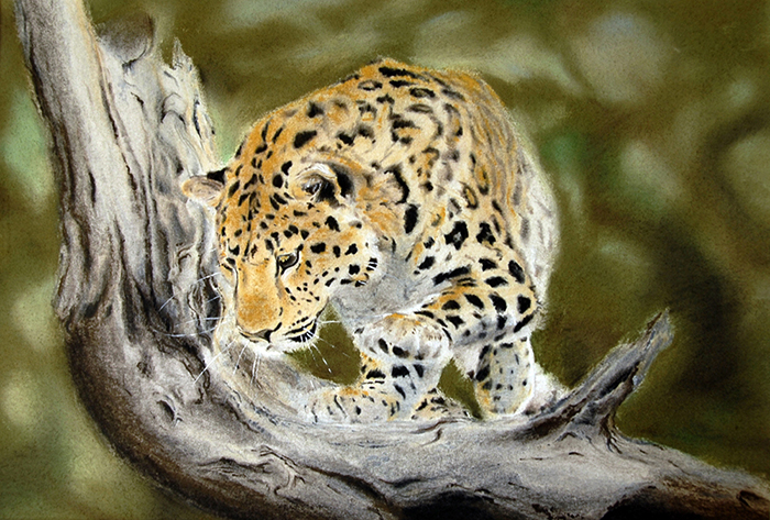 Amur Leopard