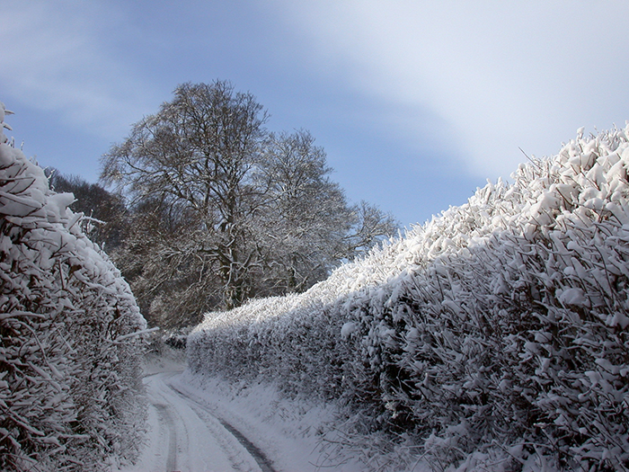 Castle Hill in the snow