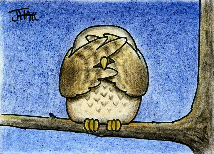 Oscar the Owl