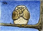 Link to 'Oscar the Owl'