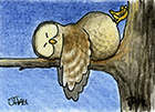 Link to 'Oscar the Owl'