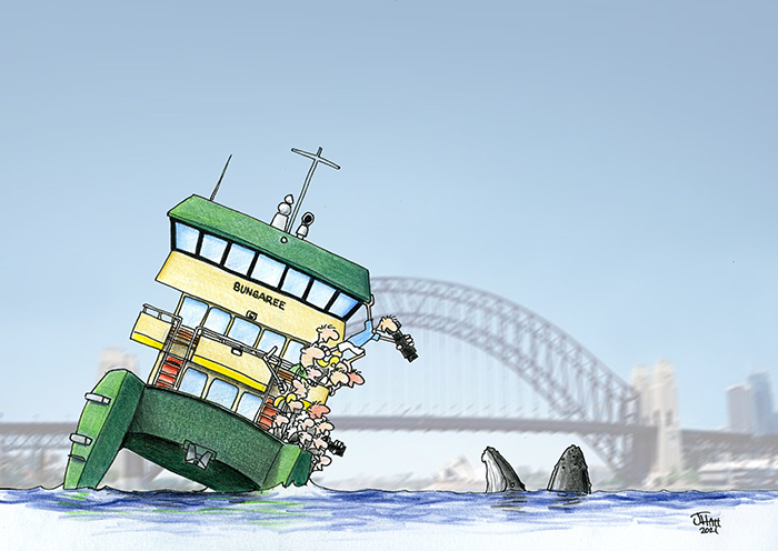 Sydney Harbour Whale Watching